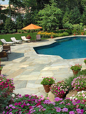 Service Swimming Pools